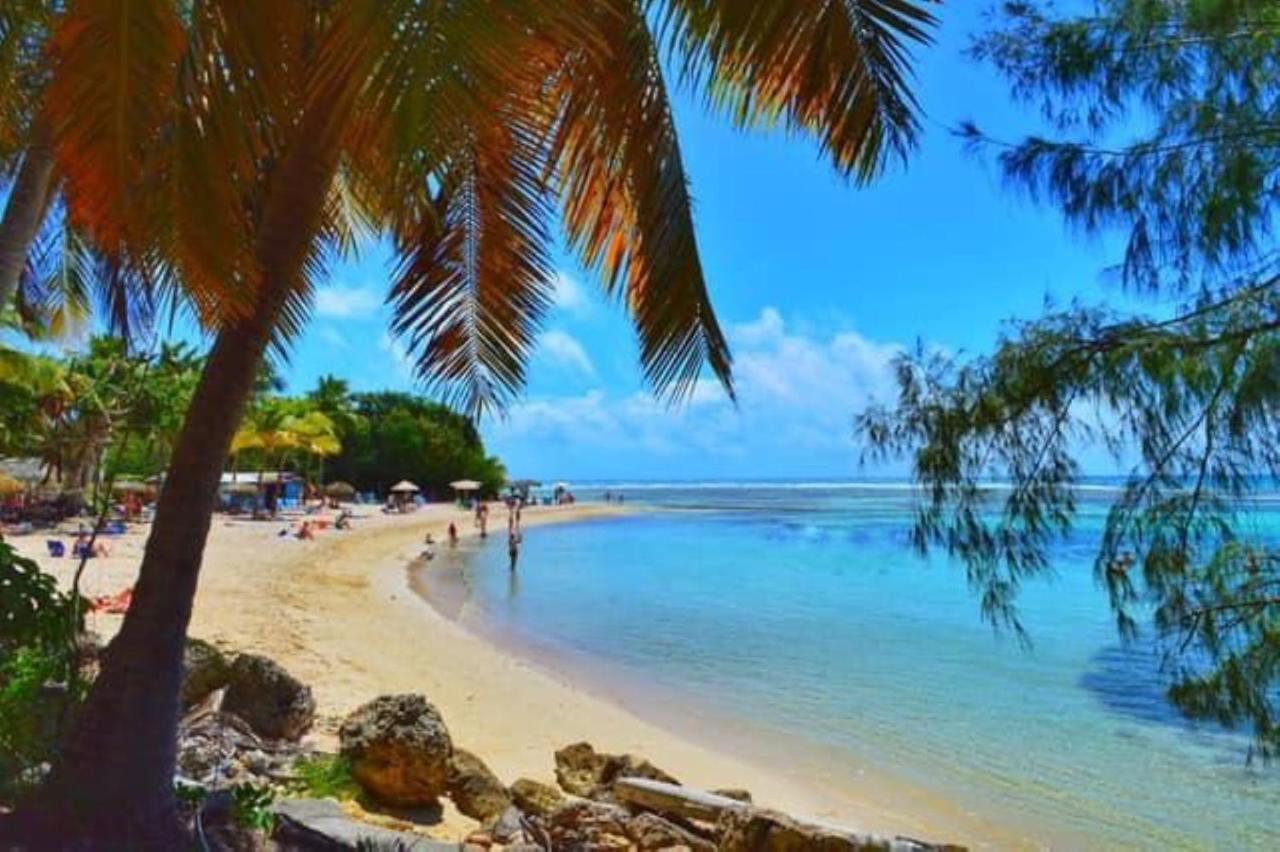 Studio Mojito Vue Mer,Piscine Avec Cuve Eau Et Acces Plage Et Piscine Anse Des Rochers Saint-Francois  Ngoại thất bức ảnh