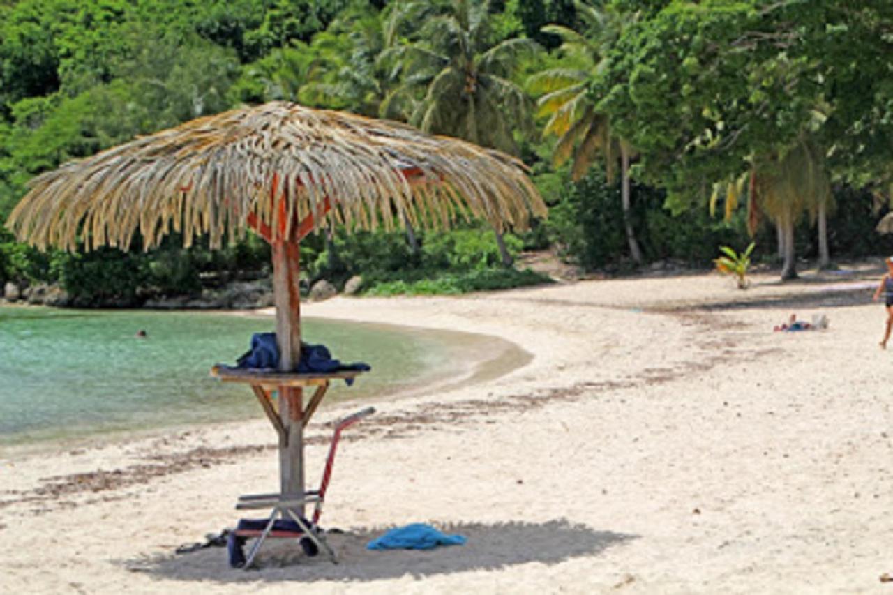 Studio Mojito Vue Mer,Piscine Avec Cuve Eau Et Acces Plage Et Piscine Anse Des Rochers Saint-Francois  Ngoại thất bức ảnh