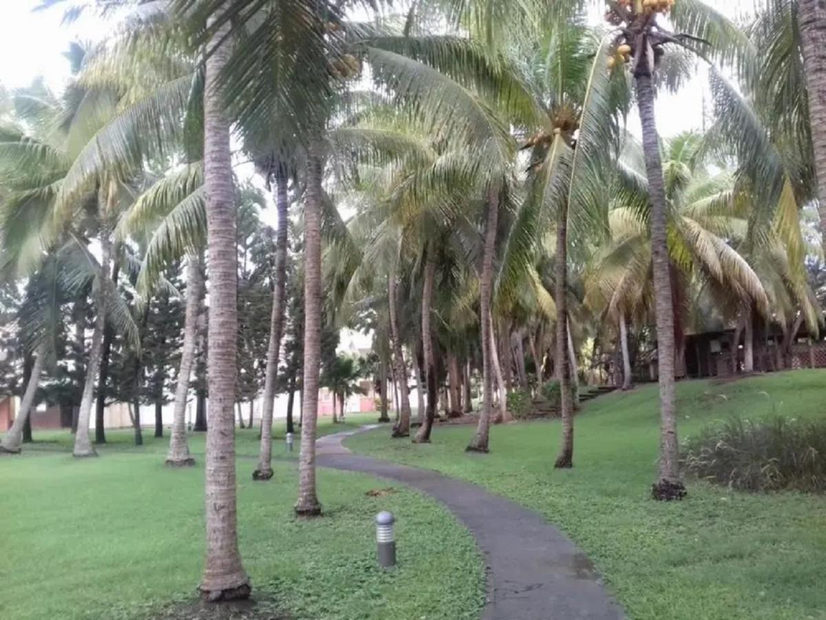 Studio Mojito Vue Mer,Piscine Avec Cuve Eau Et Acces Plage Et Piscine Anse Des Rochers Saint-Francois  Ngoại thất bức ảnh