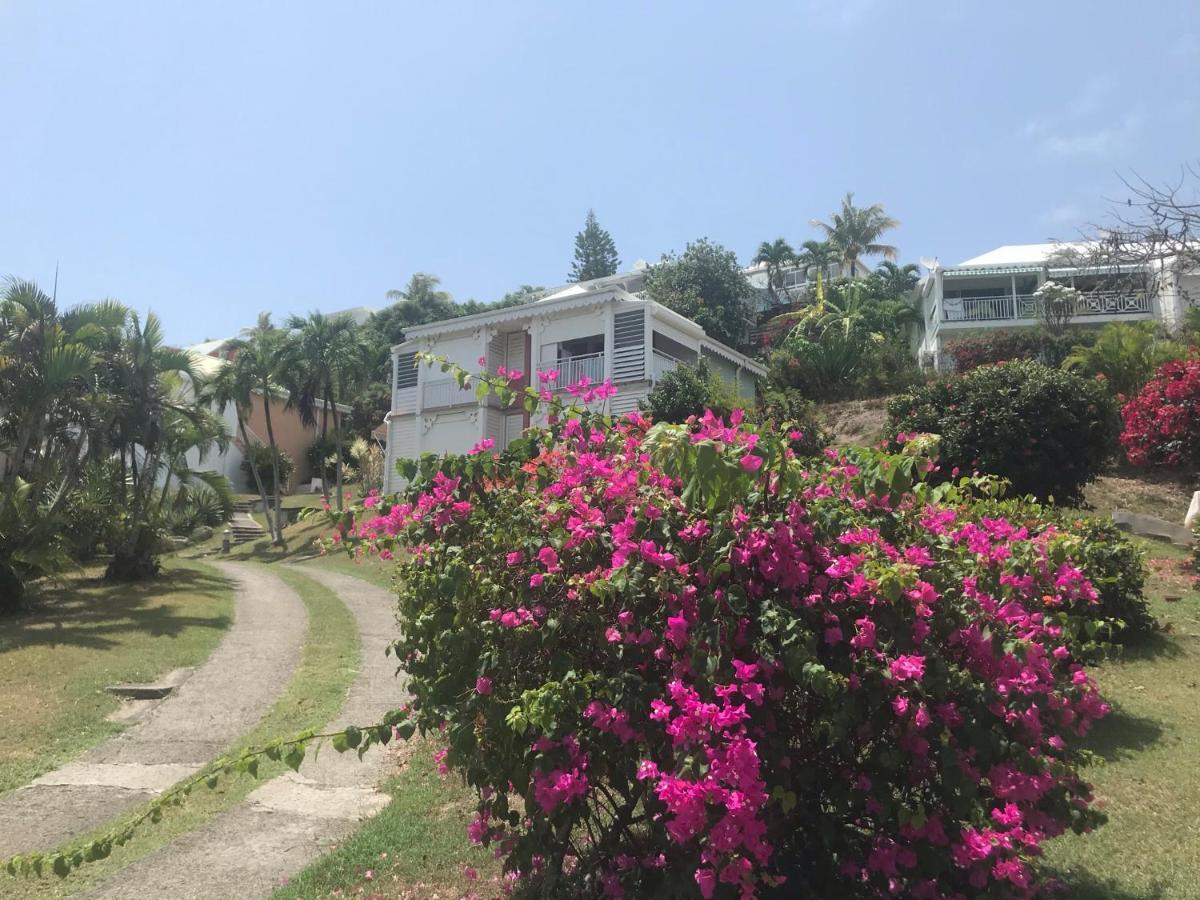 Studio Mojito Vue Mer,Piscine Avec Cuve Eau Et Acces Plage Et Piscine Anse Des Rochers Saint-Francois  Ngoại thất bức ảnh